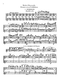 Complete Cycle: Para orquesta - partes em flautas by Modest Mussorgsky