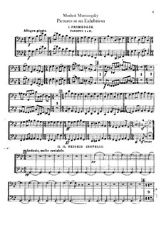 Complete Cycle: For orchestra – bassoons part by Modest Mussorgsky