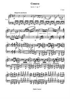 Sonata for Piano in E Minor, Op.7: movimento I by Edvard Grieg