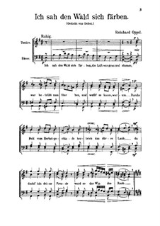 Ich sah den Wald sich färben. Lied für a capella Männerchör: Ich sah den Wald sich färben. Lied für a capella Männerchör by Julius Reinhard Oppel
