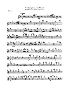 Overture: parte de flautas by Wolfgang Amadeus Mozart