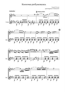 Knopochka flew into a rage: Duo by Sergej Kolgan