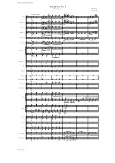 Symphony No.1 'Divertimento': Symphony No.1 'Divertimento' by Edward Lein