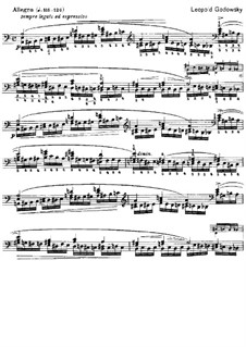 Studies after Etudes by Chopin, Op.10: Etude No.2 in A Minor (First Version) by Leopold Godowsky