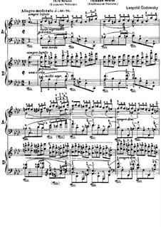 Studies after Etudes by Chopin, Op.25: Etude No.2 in F Minor (Third Version) by Leopold Godowsky