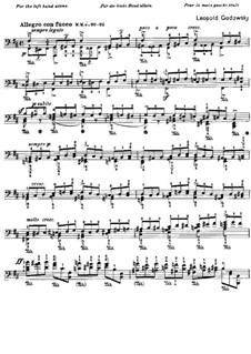 Studies after Etudes by Chopin, Op.25: Etude No.10 in B Minor by Leopold Godowsky