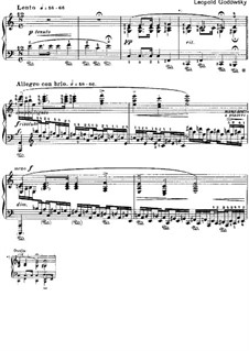 Studies after Etudes by Chopin, Op.25: Etude No.11 in A Minor by Leopold Godowsky