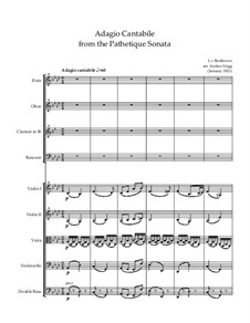 Movement II: para orquestra de camara by Ludwig van Beethoven