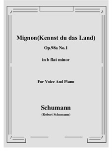 No.1 Mignon: B flat minor by Robert Schumann