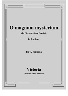 O Magnum Mysterium: B minor by Tomás Luis de Victoria