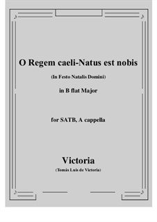 O Regem caeli - Natus est nobis: B flat Maior by Tomás Luis de Victoria
