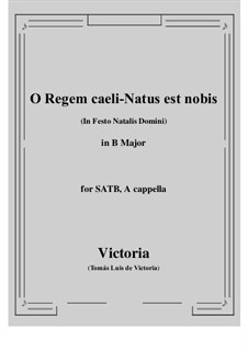 O Regem caeli - Natus est nobis: B Major by Tomás Luis de Victoria