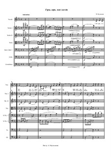 Shine, Shine, My Star: para orquestra de camara by Pyotr Bulakhov