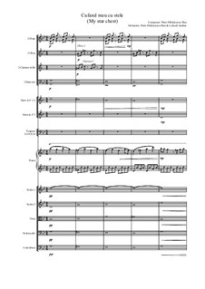 Cufarul meu cu stele (My star chest): Cufarul meu cu stele (My star chest) by Young Piano Composition