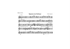 Spuren im Schnee, Op.168: Spuren im Schnee by Dieter Angerer