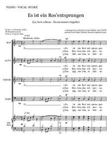 Es ist ein Ros entsprungen: SATB by folklore, Michael Praetorius