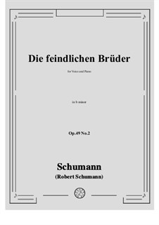No.2 Hostile Brothers: B minor by Robert Schumann