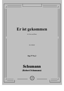 No.2 Er ist gekommen: E minor by Robert Schumann