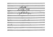 Duo for Violin and Cello: partitura para dois musicos by Felice Giardini