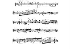 Zigeunerweisen (Gypsy Airs), Op.20: parte Solo by Pablo de Sarasate