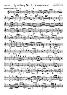 Movement I: Version for violin by Ludwig van Beethoven