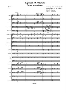 Torna a Surriento: para orquestra sinfonica by Ernesto de Curtis