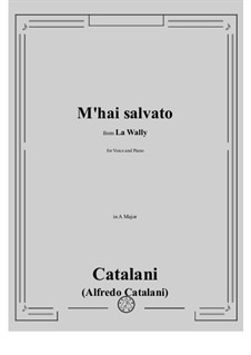 La Wally: M'hai salvato by Alfredo Catalani