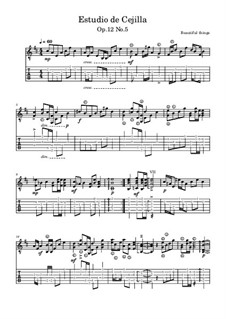 Estudio de Cejilla, Op.12 No.5: Estudio de Cejilla by Beautiful things Martínez