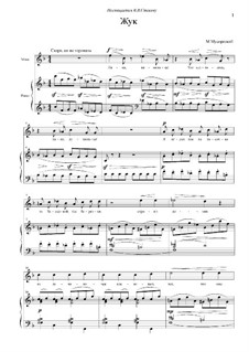 The Nursery: No.3 The Beetle by Modest Mussorgsky