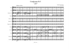 Movement I: partitura completa by Ludwig van Beethoven