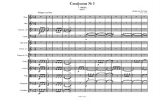 Movement I: partitura completa by Ludwig van Beethoven