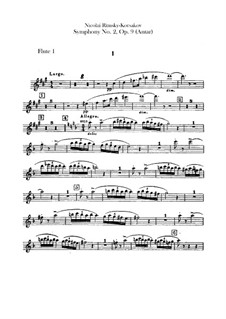 Symphony No.2 in F Sharp Minor 'Antar', Op.9: parte de flautas by Nikolai Rimsky-Korsakov