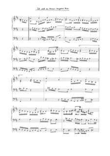 Ich steh an Deiner Krippen hier - ein Orgelchoral: Ich steh an Deiner Krippen hier - ein Orgelchoral by Marc Neufeld