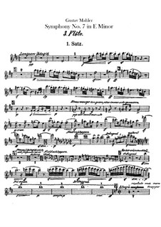 Symphony No.7 in E Minor: Flutes III, IV parts by Gustav Mahler