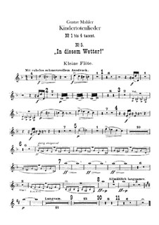 Kindertotenlieder (Songs on the Death of Children): parte de flautas by Gustav Mahler