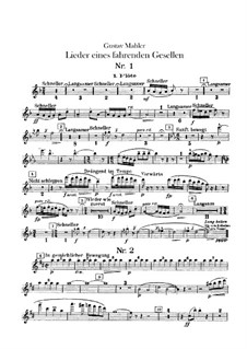 Lieder eines fahrenden Gesellen (Songs of a Wayfarer): For voice and orchestra – flutes parts by Gustav Mahler