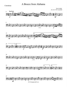 A Breeze from Alabama: para orquetra de cordas by Scott Joplin