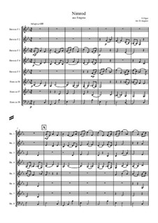 Variation No.9 'Nimrod': For 8 horns in F by Edward Elgar
