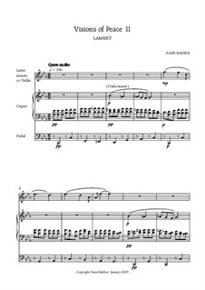 Visions of Peace II - Lament: For organ and lame sonore (or violin) by Hans Bakker