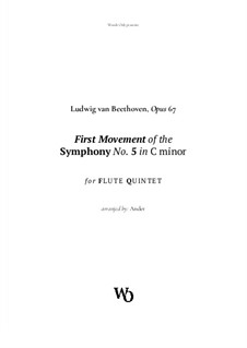 Movement I: Para Quinteto de Flautas by Ludwig van Beethoven