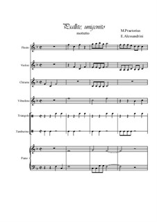 Psallite, unigenito: Psallite, unigenito by Michael Praetorius