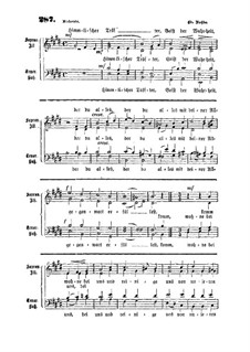 Himmlicher Tröster: Himmlicher Tröster by Eduard Rohde