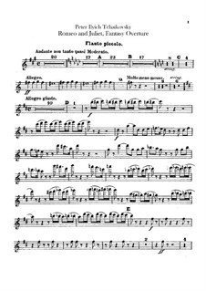 Complete Overture: parte flauta piccolo by Pyotr Tchaikovsky