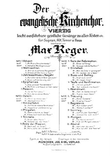 Der evangelische Kirchenchor: livro II by Max Reger