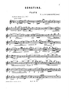 Sonatina for Flute and Piano in G Minor: parte Solo by Thomas Attwood Walmisley