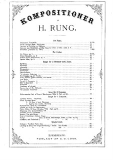 Det Svundne og det Vundne: Det Svundne og det Vundne by Henrik Rung