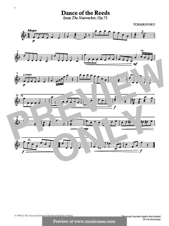 No.7 Dance of the Mirlitons: For percussion by Pyotr Tchaikovsky