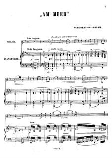 No.12 Am Meer (By the Sea): para violino by Franz Schubert