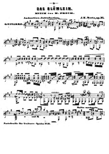 Das Blümlein, Op.34: Für Gitarre by Johann Kaspar Mertz