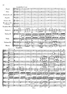 Symphony No.1 in B Flat Major 'Spring', Op.38: movimento II by Robert Schumann